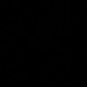 Meet your Posher, Carson